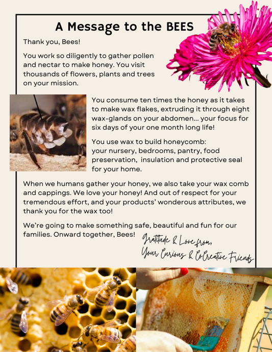 Let's Make Beeswax Wraps - Digital Book