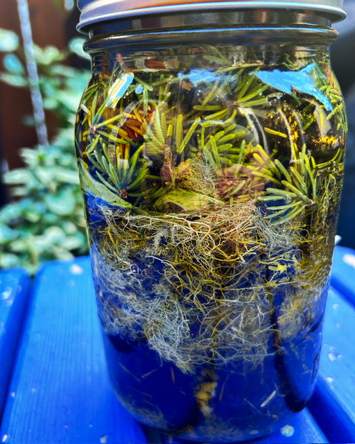 Private Class - Tallow and Tallow Balm Making