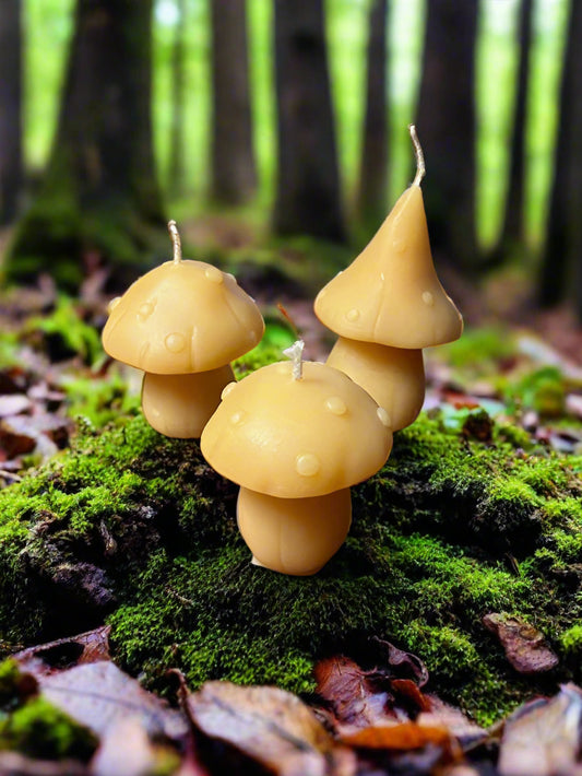 Beeswax Candles - Trios