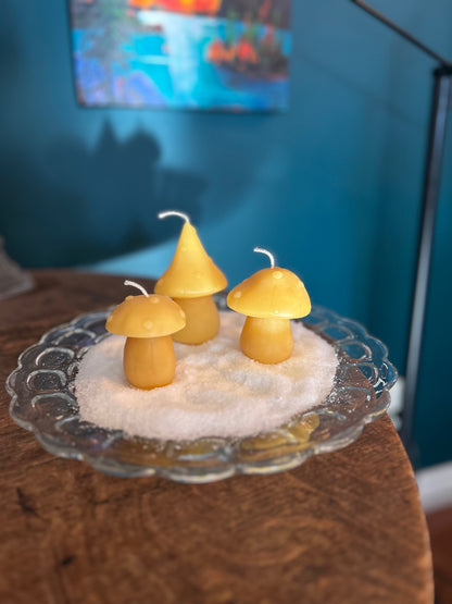 Beeswax Candles - Trios