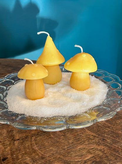 Beeswax Candles - Trios